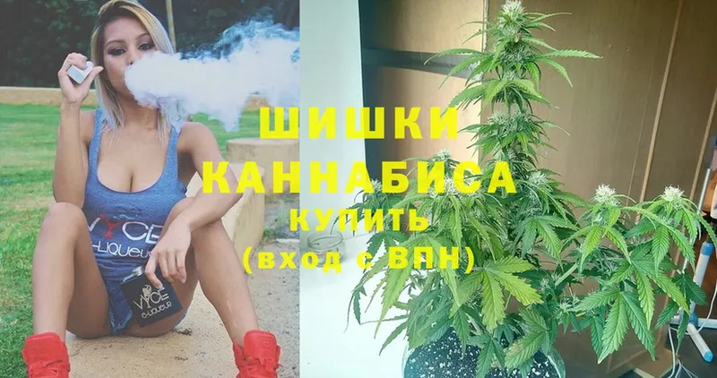 Конопля White Widow  Дмитровск 